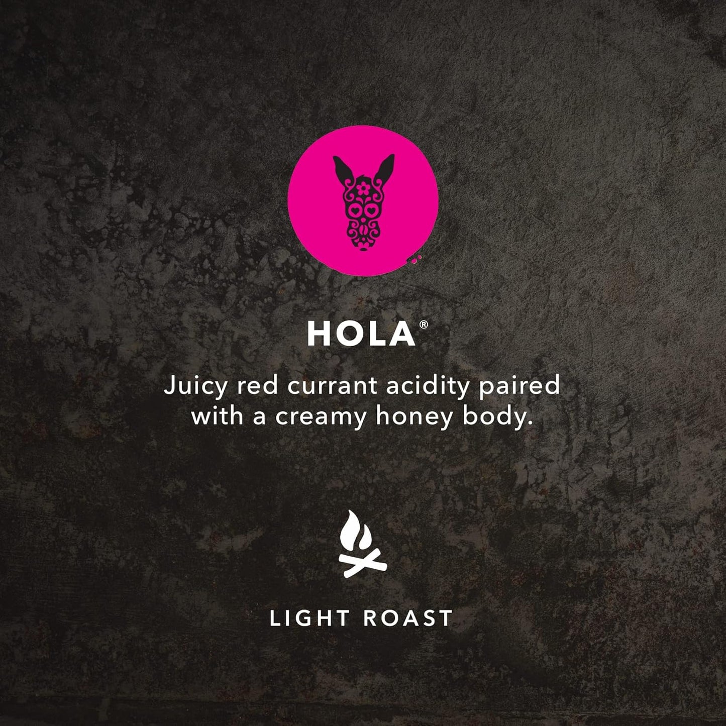 Kicking Horse Coffee Hola, Light Roast, Ground, 284 g (Pack of 6) - Certified Organic, Fairtrade, Kosher