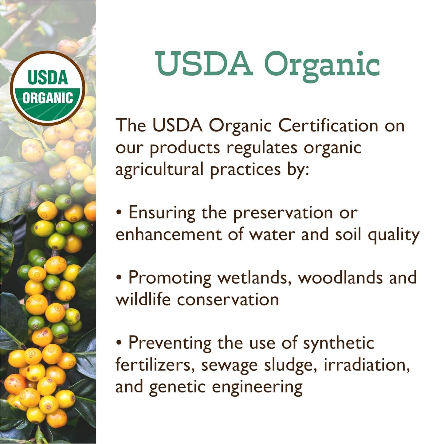 Fresh Roasted Coffee, Organic Peru | Mold & Myco 3rd Party Tested, USDA Organic, Kosher | Med Roast 2 lb (32 oz) Whole Bean