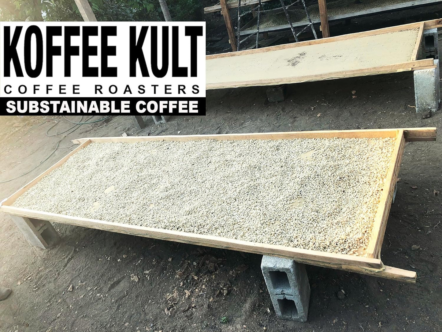 Koffee Kult Sumatra Coffee Beans Dark Roast - Indonesian Fresh Roasted Coffee Beans(Whole Bean, 32oz)