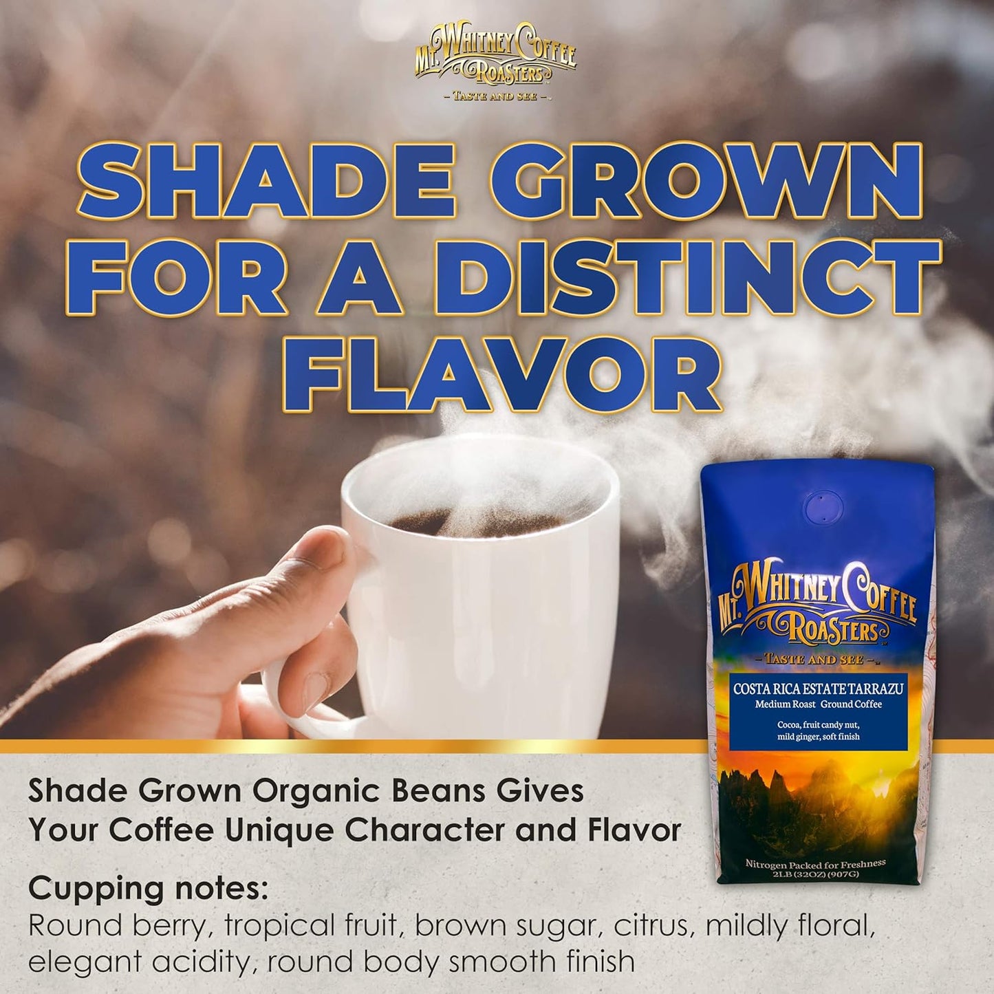 Mt. Whitney Costa Rica Estate Tarrazu Low Acid Coffee (Ground, 2 Lb)