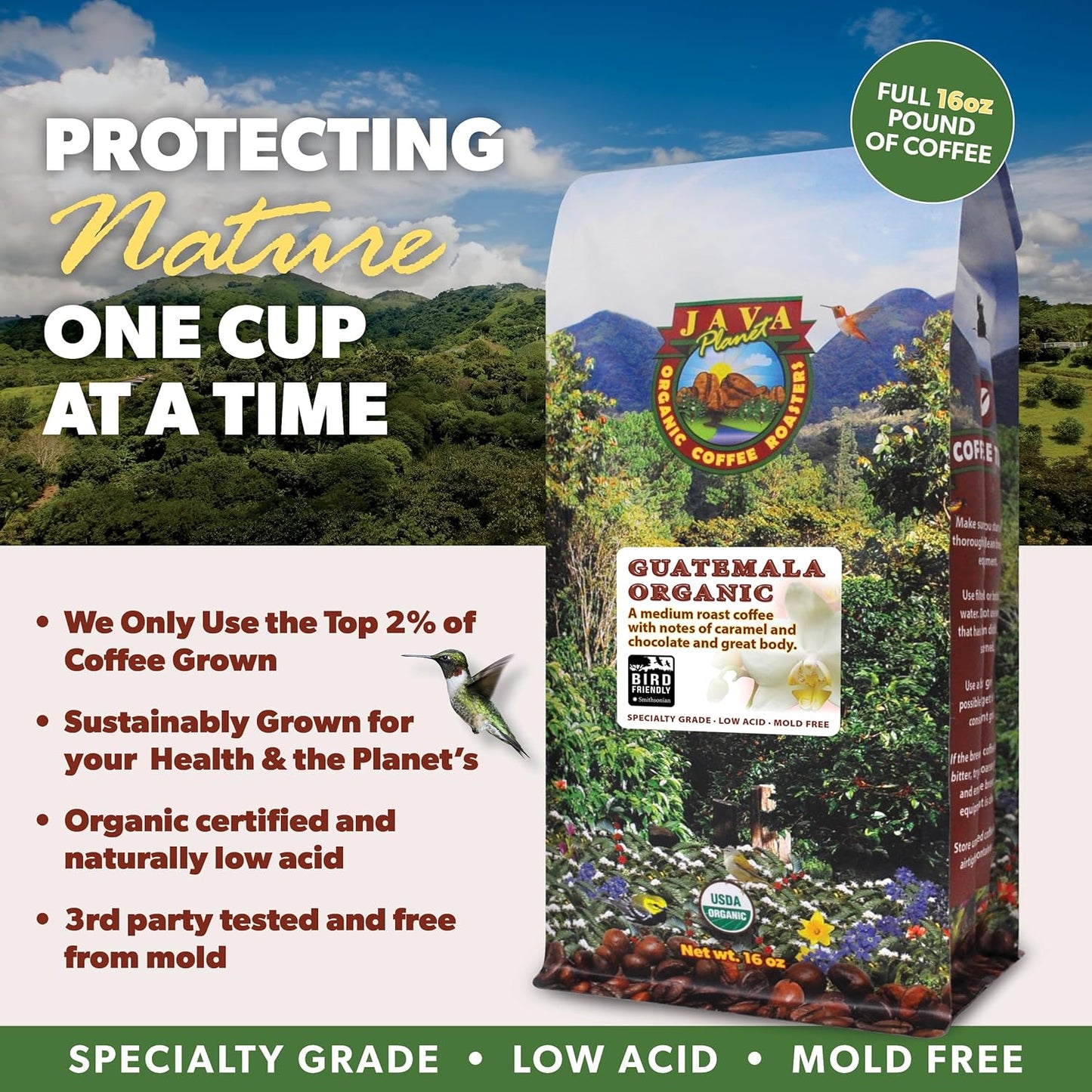 Low Acid Organic Coffee – Whole Bean, Mold-Free & Stomach Friendly by Java Planet, Guatemalan Single Origin Coffee, Medium Roast, Smooth Full Flavored, 5LB Bag