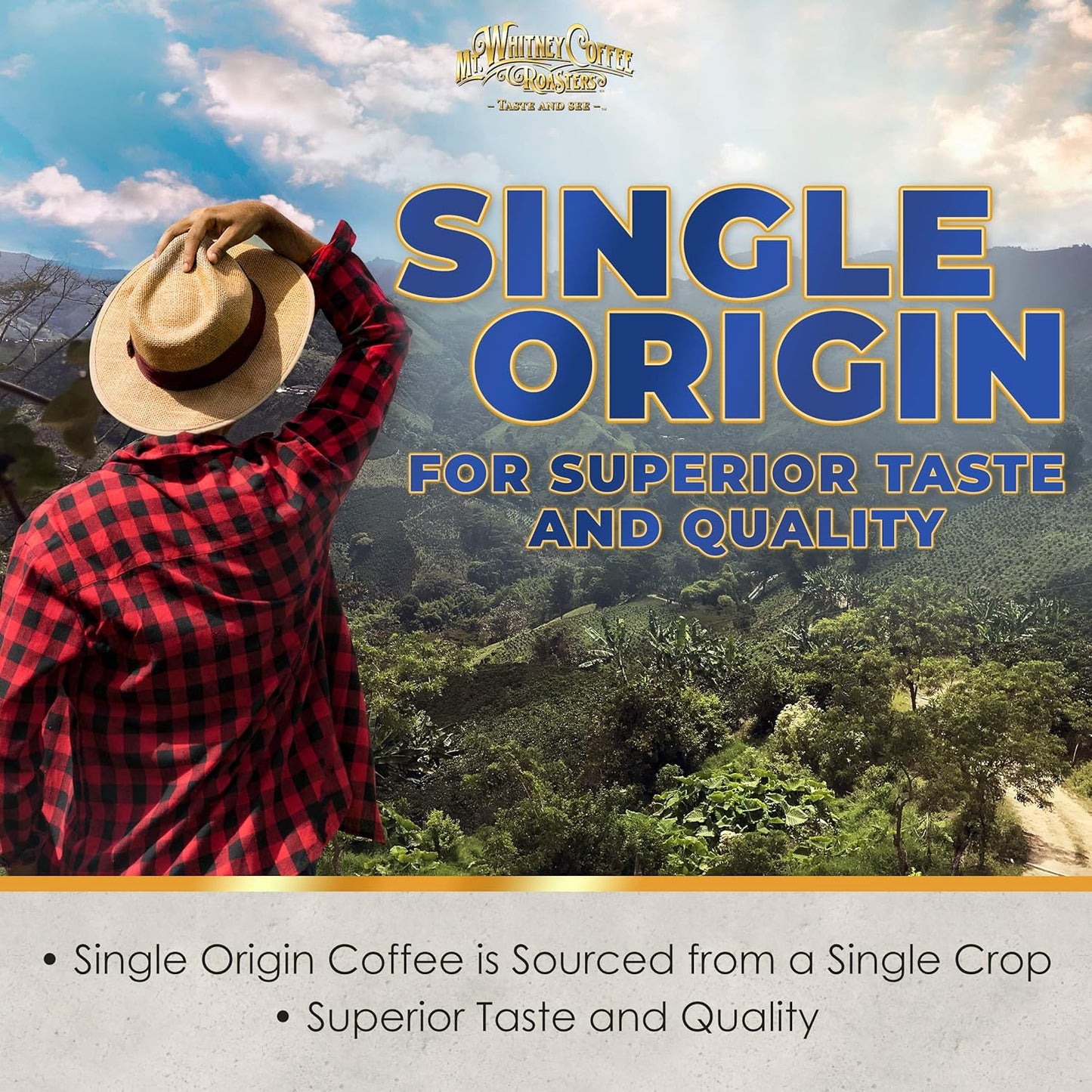 Mt. Whitney Costa Rica Estate Tarrazu Low Acid Coffee (Ground, 12 Oz)