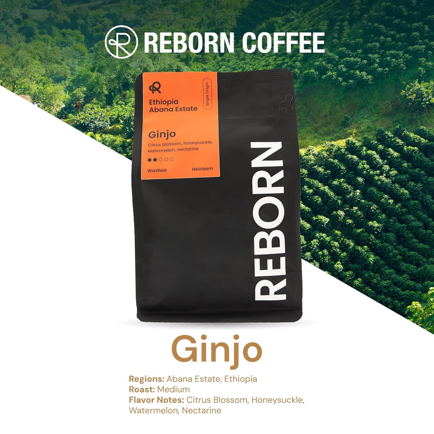 Reborn Coffee Specialty Whole Bean Coffee, Light-Medium Roast, 12 Ounce, Ethiopia Abana Estate Ginjo, Notes of Citrus Blossom, Honeysuckle, Watermelon, and Nectarine