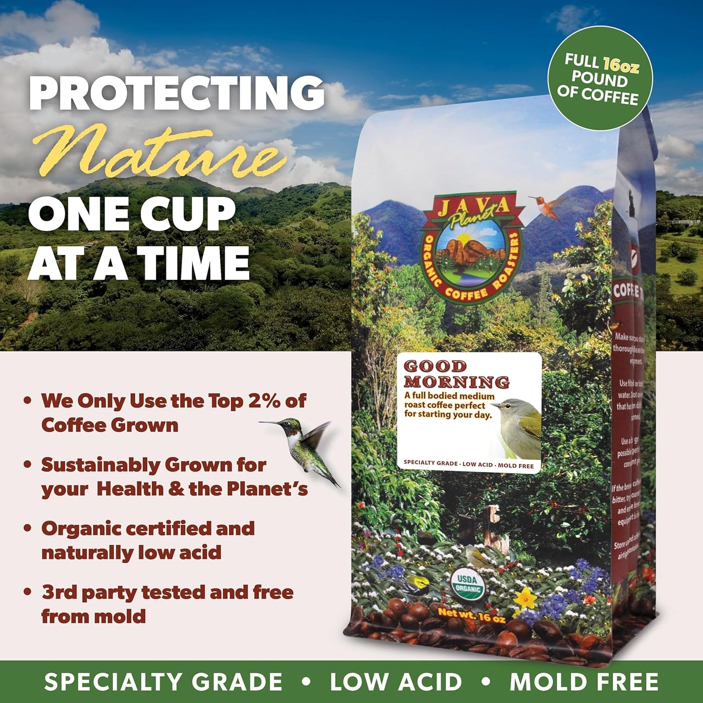 Low Acid Organic Coffee – Whole Bean, Mold-Free & Stomach Friendly by Java Planet, Good Morning Blend Coffee, Medium Roast, Smooth Full Flavored, 2x1LB Bag