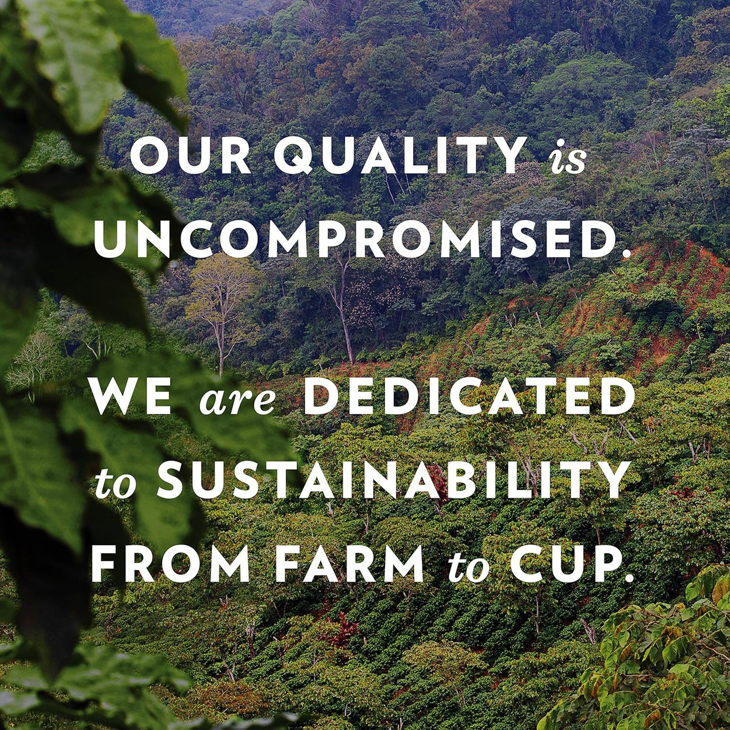 Community Coffee House Blend 24 Count Coffee Pods, Medium Dark Roast, Compatible with Keurig 2.0 K-Cup Brewers, 24 Count (Pack of 1)